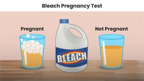 is bleach pregnancy test safe